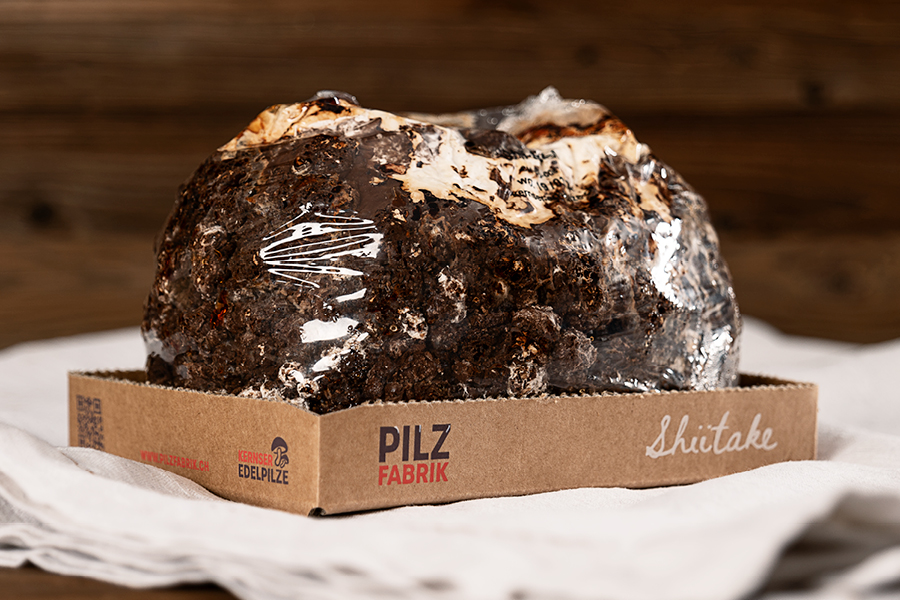 Schritt 1: Hurra, die Pilzfabrik ist da!