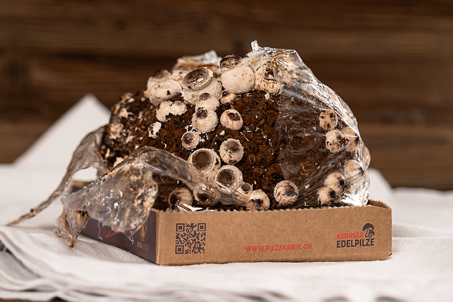 Schritt 2: Guckst du