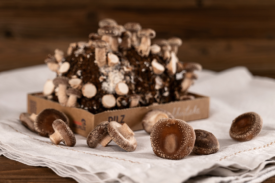 Schritt 5: Jetzt wird gekocht